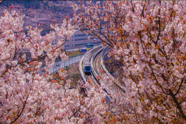 《駛向春天的列車》韓新宇.png